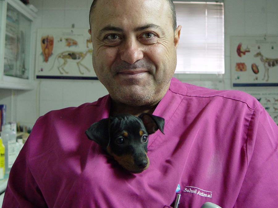 Centro Clínico Veterinario Soria médico veterinario con perro