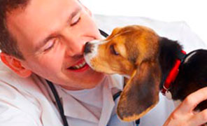 Centro Clínico Veterinario Soria veterinario acariciando a canino