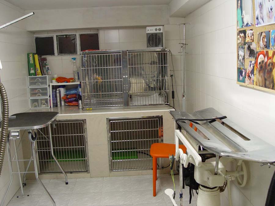 Centro Clínico Veterinario Soria instalaciones de la veterinaria