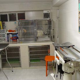 Centro Clínico Veterinario Soria instalaciones de la veterinaria